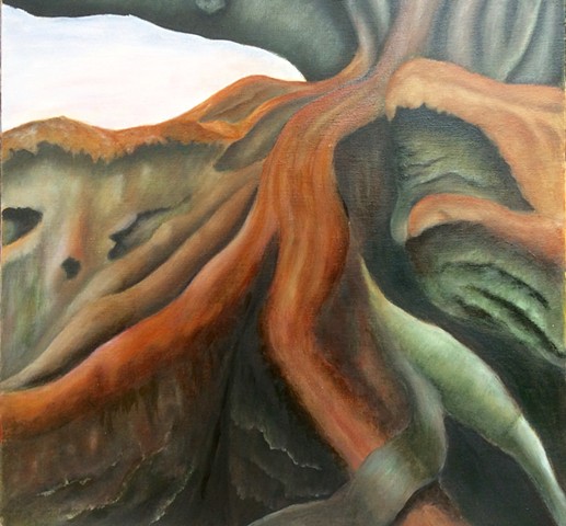 Morton Bay Fig trunk 