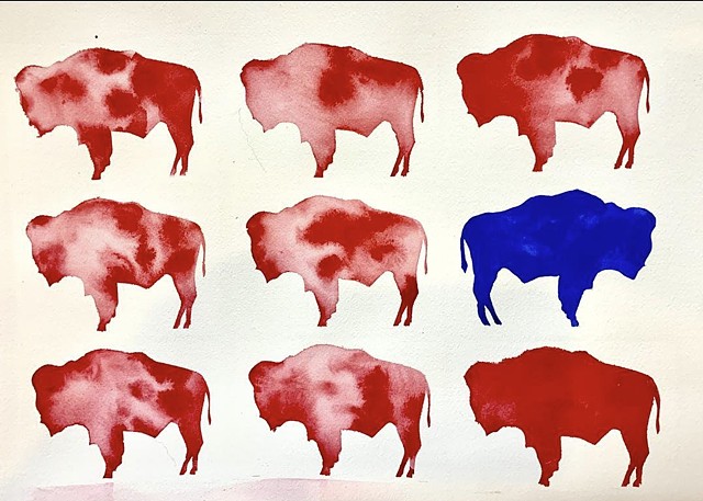 Wyoming Politics