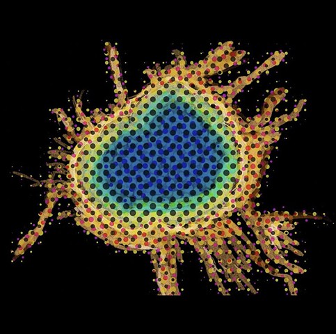Pixelated Prismatic