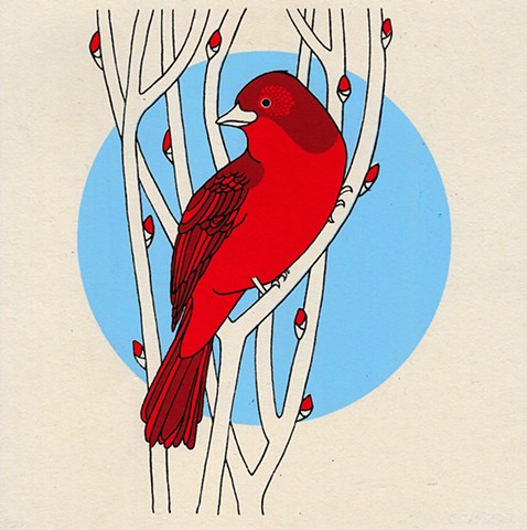 Red Bird