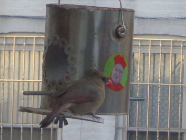 Bird Can