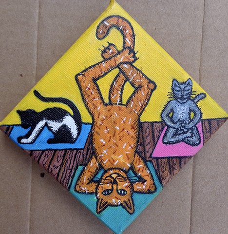 cat yogi