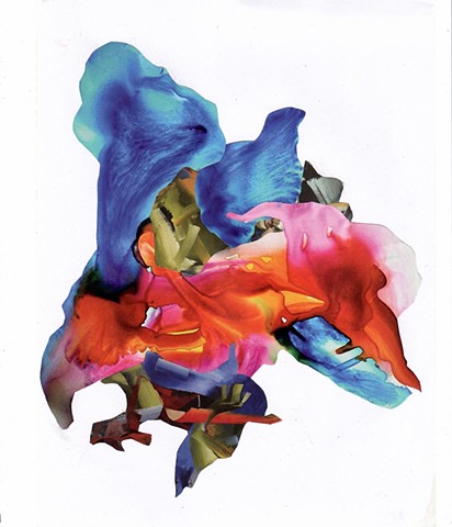 Iris