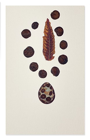 Stone Egg & Leaf circled by Seeds