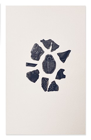 Pottery Shards circling Trilibite 