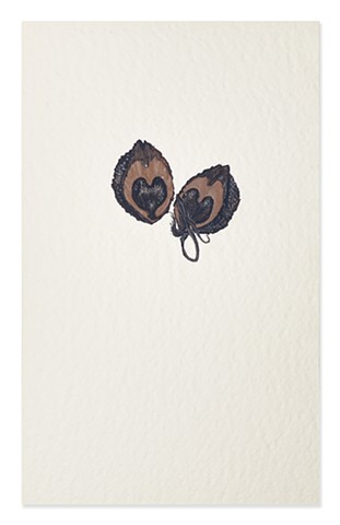 2 Hearts in a Nutshell