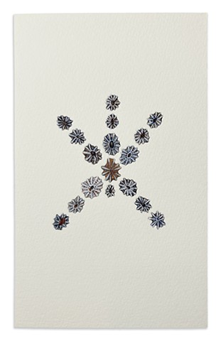 Seashells in 5 Pointed Star