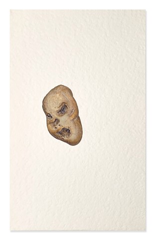 Bertha's Screaming Rock