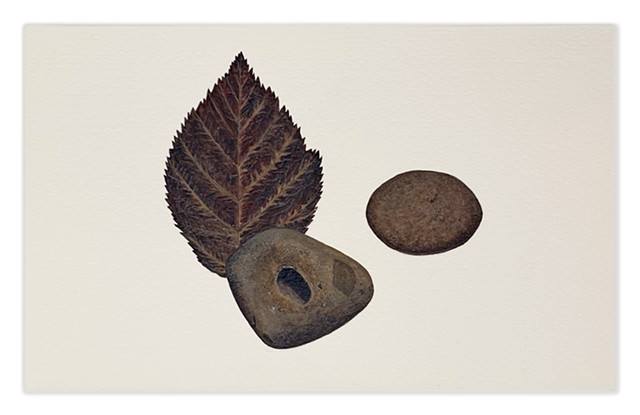 2 Rocks & a Leaf