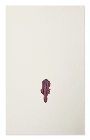 Plastic Object Resembling Phallus