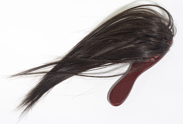 Conceptual Art Object, Hair, Hair Brush