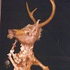 Anthropomorphic Deer, 2000