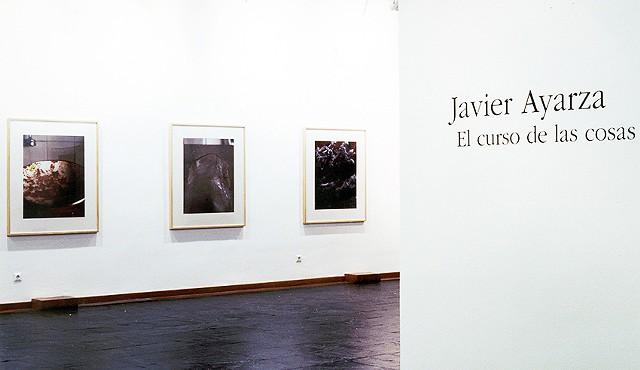 El curso de las cosas, Museo de Salamanca, 1998