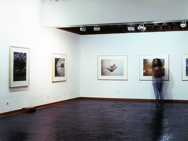 El curso de las cosas, Museo de Salamanca, 1998.