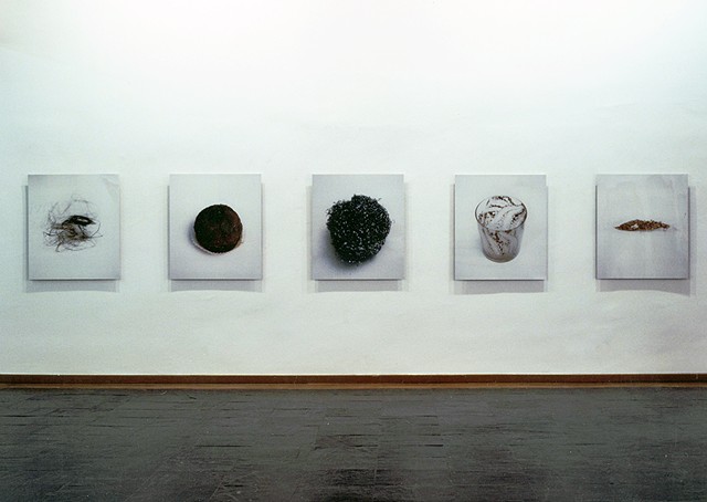 El curso de las cosas, Museo de Salamanca, 1998.