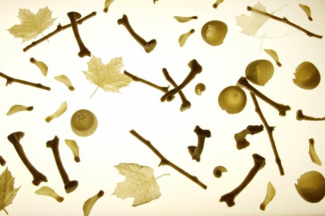 Decomposition