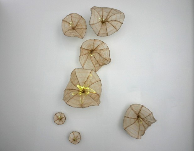 Anna Egleson (Spring 2007)