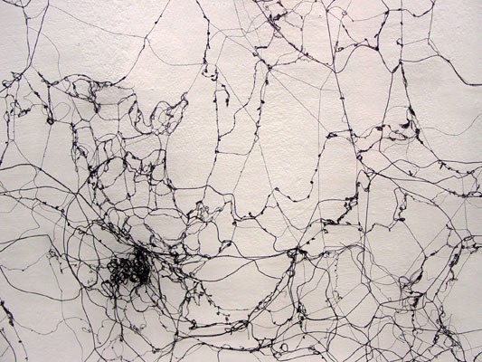 Rebecca Carter (Fall 2002)