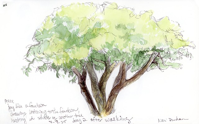 Day 2 after walking. Peace. Joy like a fountain. Drawing listening to the fountain, resting in shade of another tree