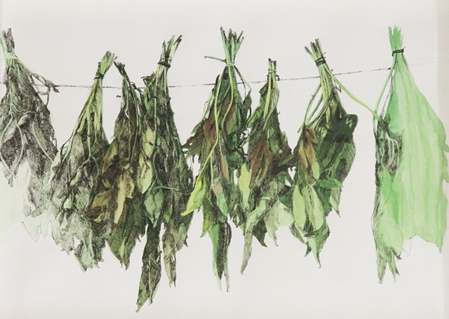 Harvest: Sweet Fragrance