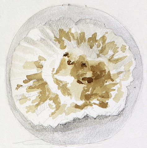 Day 4, Muffin Cup paper