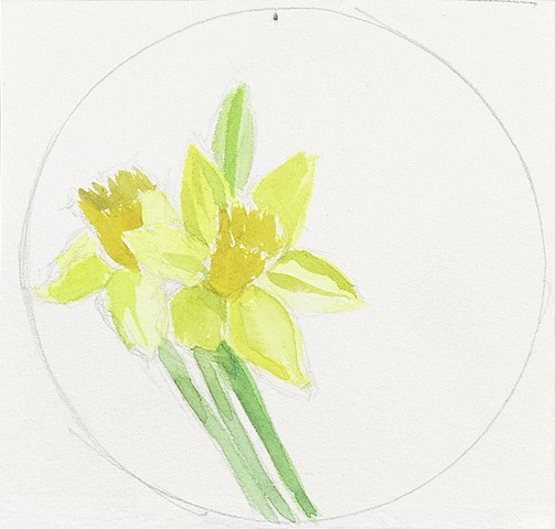 Day 24, Daffodil 