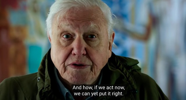 David Attenborough: A Life on Our Planet 