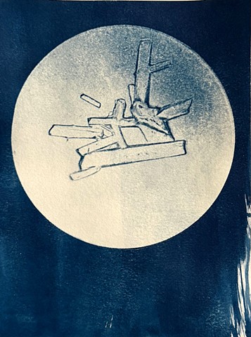 Cyanotype, microscope, HollyHolmes, Art