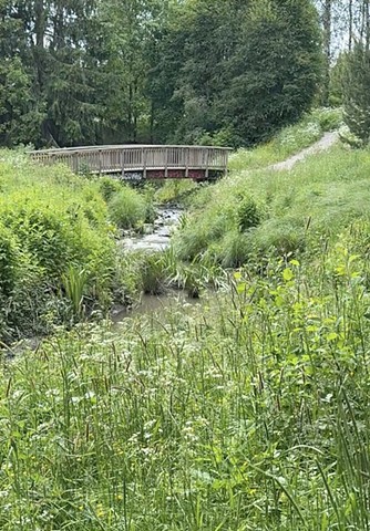 #microscope, Microscopeart, #hollyholmevs, #Turku, #chicago, Video, Worms. #planton,