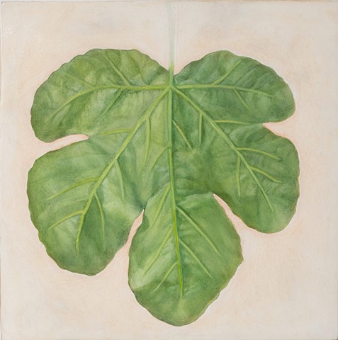 Fig Leaf