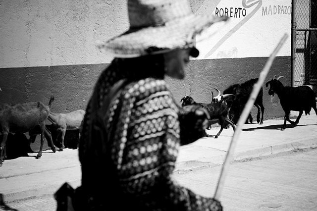 Oaxaca Festival #45