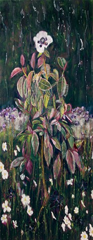 Dark Brides of the Night