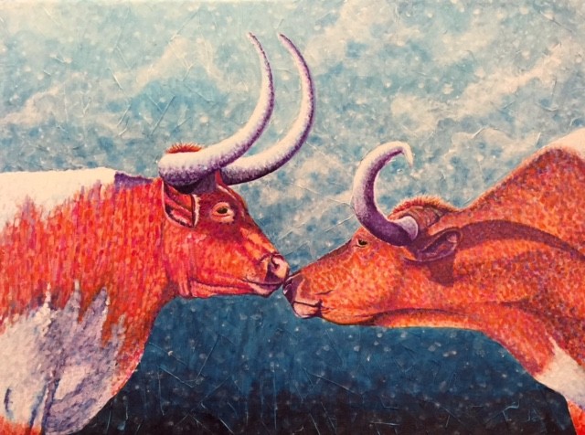 Texas longhorns in love