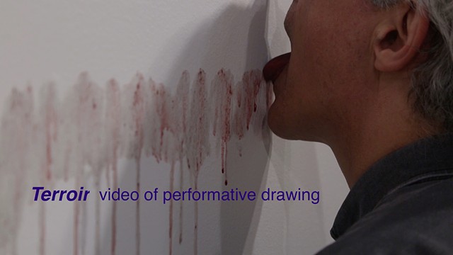 Terroir - video of performative drawing