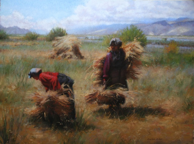 Tibetan Barley Harvest