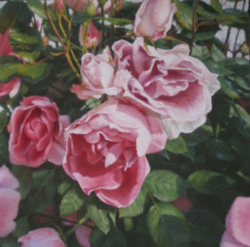 Christina's Roses