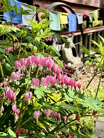 Garden of Sustenance
