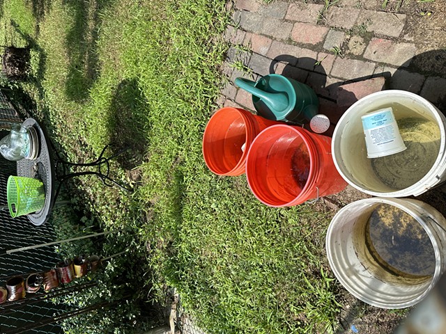 August Water Collection System