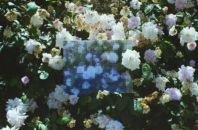 Pixelated Spring IV