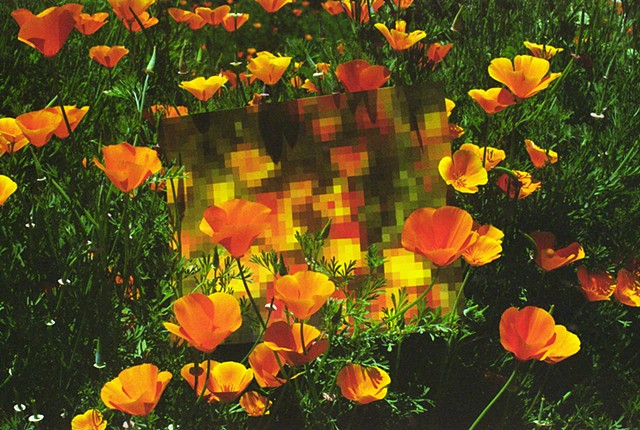 Pixelated Spring II