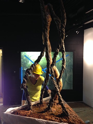 Slimy Scaly Spectacular, Sri Lankan Viper Exhibit (in progress); Zoo Atlanta