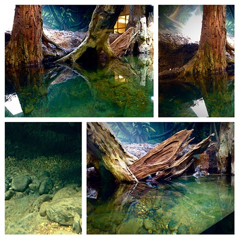 slimy Scaly Spectacular, River Habitat; Zoo Atlanta