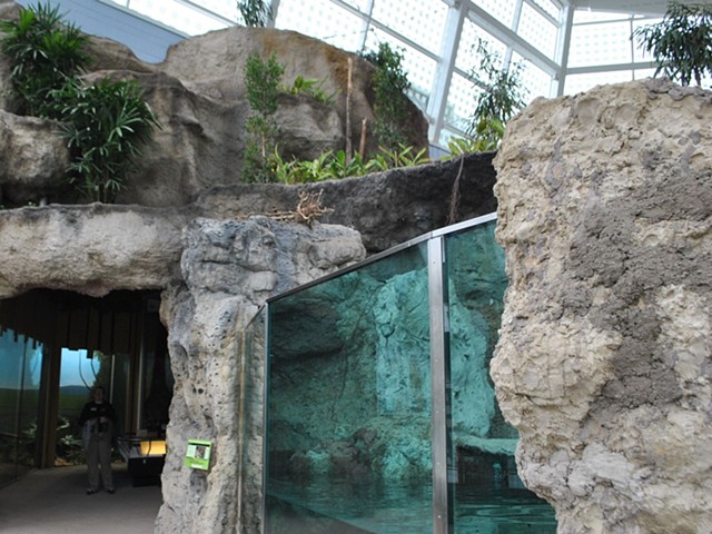 Slimy Scaly Spectacular, Croc Hall; Zoo Atlanta