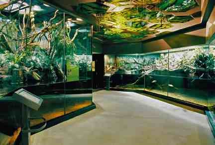 Fort Worth Zoo; Aquatic Reptiles Hall