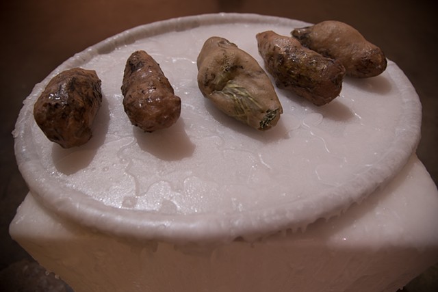 Five Unpeeled Potatoes, 2016