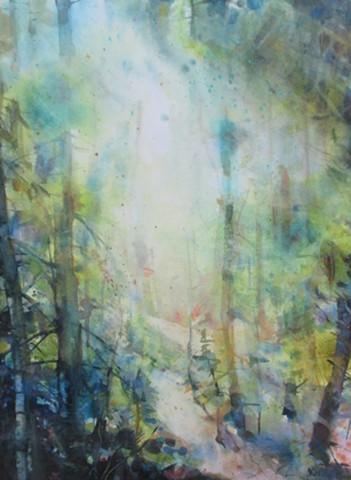 Quiet Woods