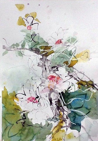 magnolias