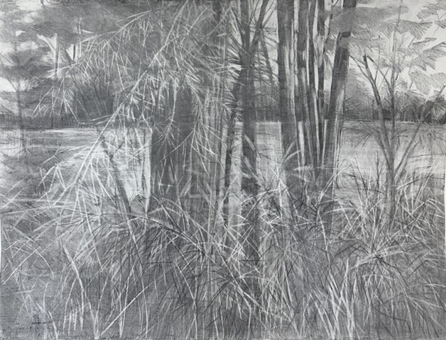 lake Habitat