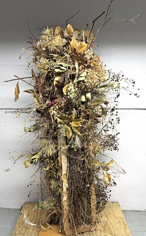 Debris Assemblage