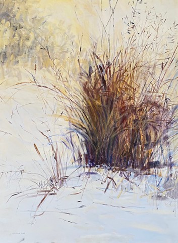 Switch Grass
